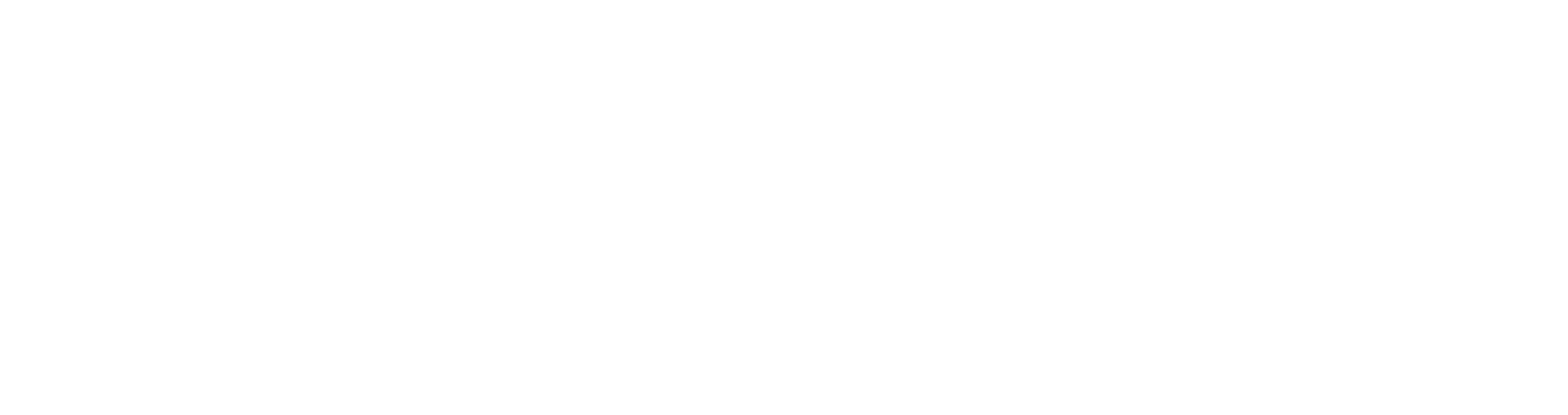 weclever Dental