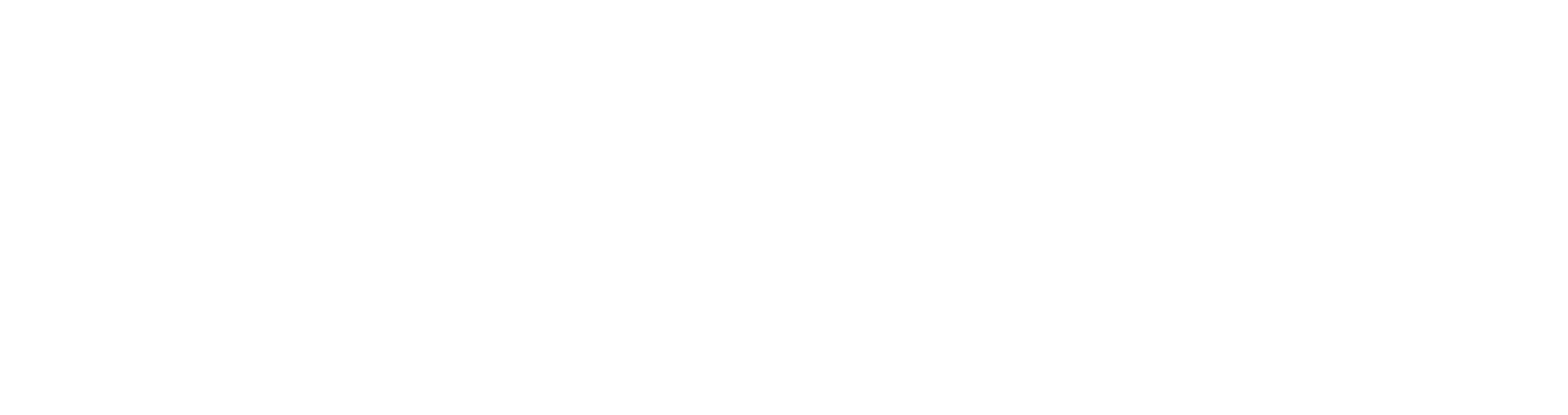 weclever Dental